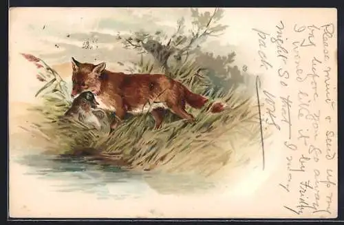 Lithographie Fuchs mit erbeuteter Ente