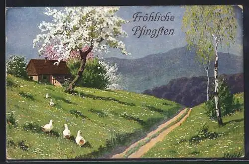 Künstler-AK Alfred Mailick: Gänse auf einer Blumenswiese bei Baumblüte, Pfingstgruss