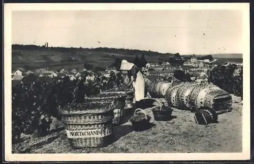 AK Le Mesnil-sur-Oger, Scene de vendange, Arbeiterin bei der Weinlese