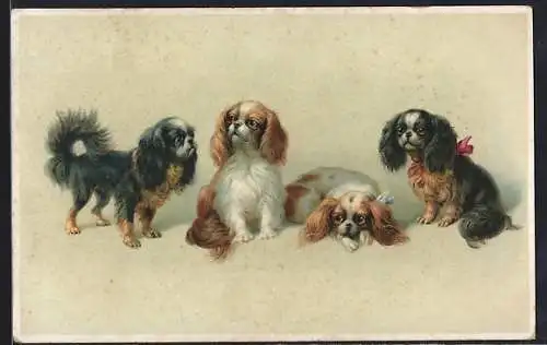 Künstler-AK M. Munk Nr. 1123: Putzige Hundewelpen