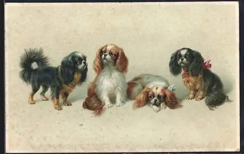 Künstler-AK M. Munk Nr. 1123: Putzige Hundewelpen