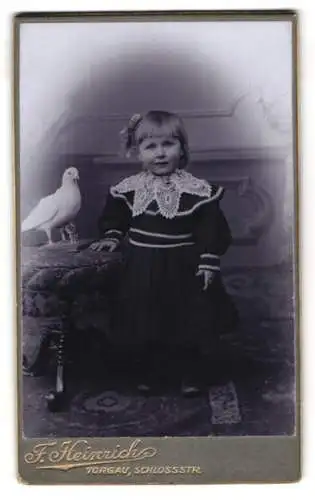 Fotografie F. Heinrich, Torgau, kleines Mädchen im dunklen Kleid nebst ausgestopfter Taube, Taxidermie