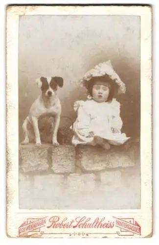 Fotografie Robert Schultheiss, Schwenningen, Hintergasse, kleines Mädchen nebst ihrem Terrier auf einer Mauer