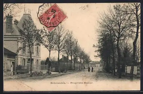 AK Bréviandes, Propriété Rozier et avenue bordée d`arbres