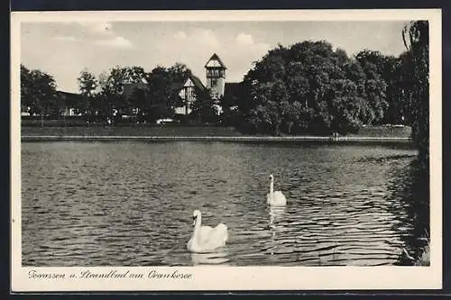 AK Berlin-Hohenschönhausen, Gaststätten W. Heiden-Heinrich, Orankestr. 41-49, Terrassen und Strandbad am Orankesee