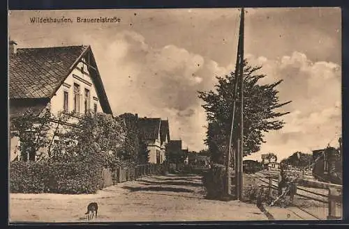 AK Wildeshausen, Brauereistrasse