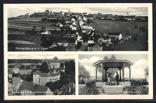 AK Hohenberg / Eger, Totalansicht, Sauerbrunnen, Schloss NSLB Schulungsburg