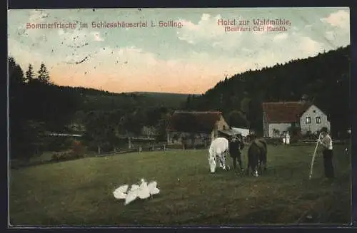 AK Solling, Hotel zur Waldmühle von Carl Mundt im Schiesshäusertal