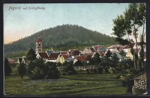 AK Pegnitz, Teilansicht mit Schlossberg