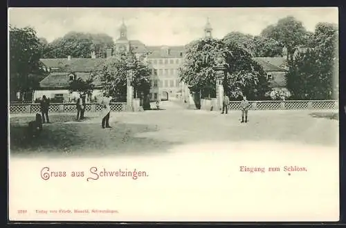 AK Schwetzingen, Eingang zum Schloss