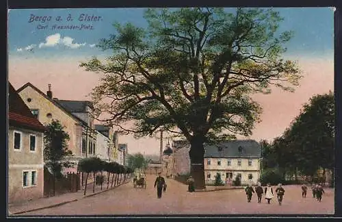 AK Berga a. d. Elster, Carl Alexander-Platz mit Passanten