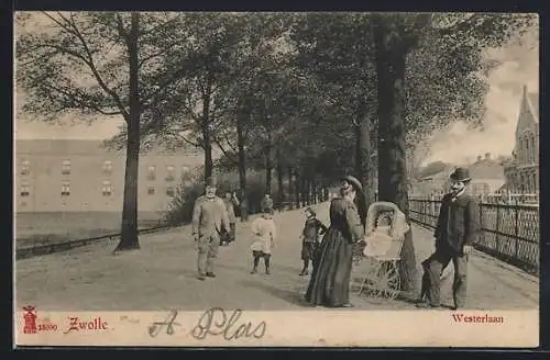 AK Zwolle, Westerlaan