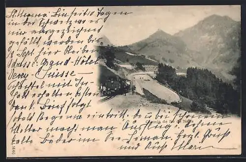 AK Chemin der fer de Naye, Bergbahn und Gipfelpanorama