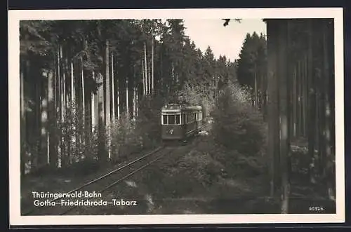 AK Thüringerwaldbahn, Bergbahn Gotha-Friedrichroda-Tabarz auf Fahrt durch den Wald