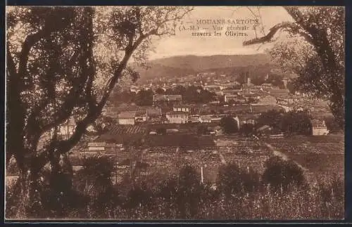 AK Mouans-Sartoux, Vue générale à travers les Oliviers