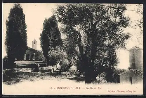 AK Mougins, Vue de N.-D. de Vie et du paysage arboré