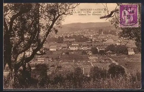 AK Mouans-Sartoux, Vue générale à travers les Oliviers
