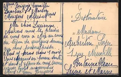 AK Mouans-Sartoux, Vue générale à travers les Oliviers