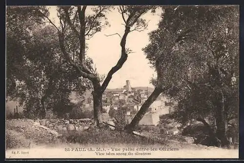 AK Saint-Paul, Vue prise entre les Oliviers