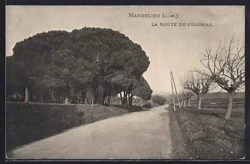 AK Mandelieu, La route de Pégomas avec pins et arbres dénudés