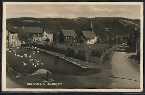 AK Steinbach an der Haide, Strassenpartie am Dorfweiher mit Kirche