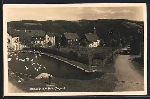 AK Steinbach an der Haide, Strassenpartie am Dorfweiher mit Kirche