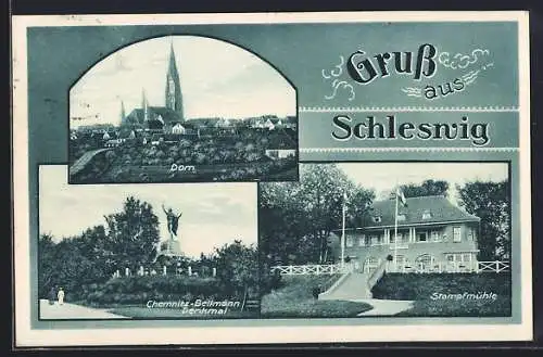 AK Schleswig, Stampfmühle, Chemnitz-Bellmann Denkmal, Dom