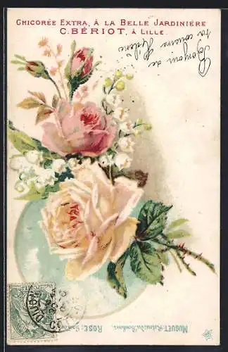 AK Rosen in voller Blüte mit Reklame Chicorée extra a la belle Jardiniere C. Beriot a Lille