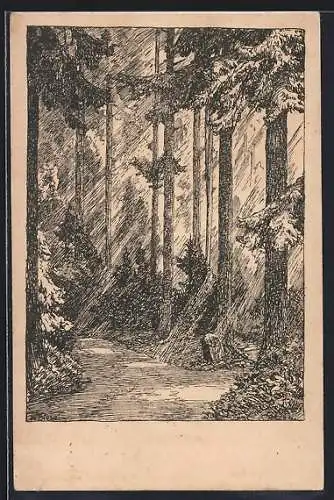 Künstler-AK Carl Biese: Herbstmorgen im Tannenwald