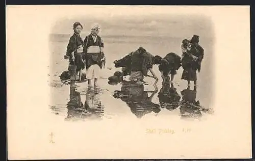 AK Shell Picking