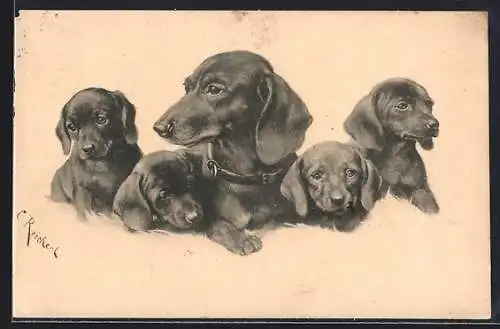 Künstler-AK Carl Reichert: Dackel mit vier Welpen