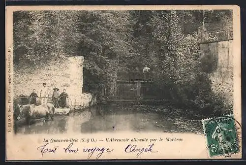 AK La Queue-en-Brie, L`Abreuvoir alimenté par le Morbras