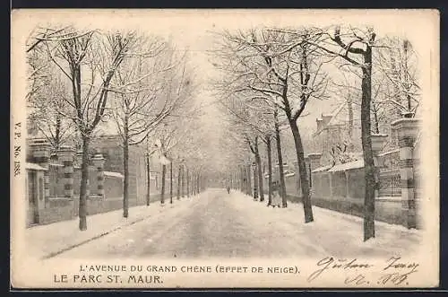 AK Saint-Maur, L`Avenue du Grand Chêne sous la neige, Le Parc St. Maur