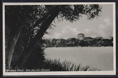 AK Strausberg /Mark, Blick über den Straussee
