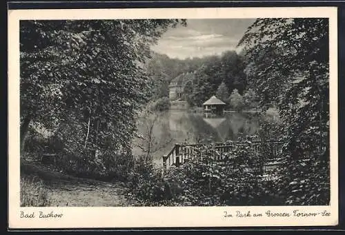 AK Bad Buckow, Partie im Park am Grossen Tornow-See