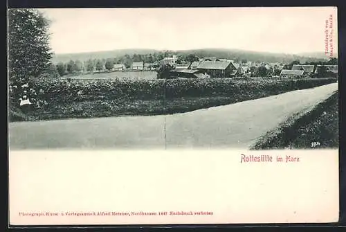 AK Rothesütte im Harz, Ortsansicht in der Ferne