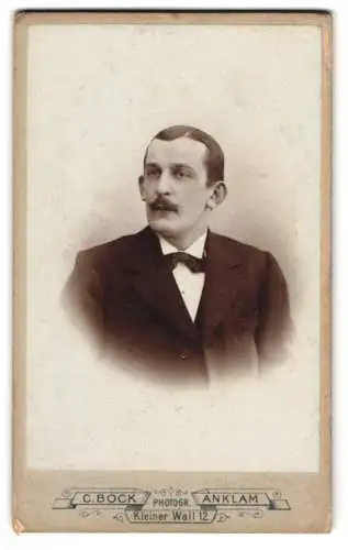 Fotografie C. Bock, Anklam, Kleiner Wall 12, Porträt eines Herrn im Anzug