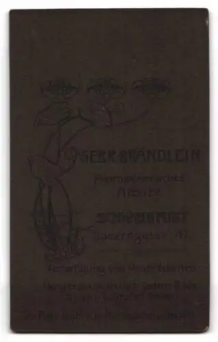Fotografie Chr. Brändlein, Schweinfurt, Bauerngasse 47, Porträt zweier Kinder