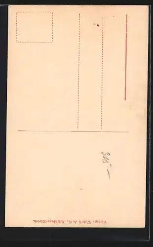 AK Meiringen, Reichenbachbahn