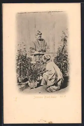 AK Japanese Plant dealer