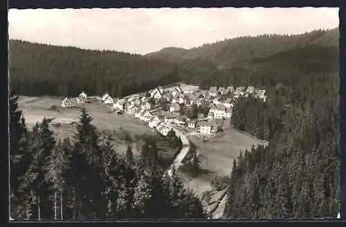 AK Silberstein im Frankenwald, Ortspartie mit Umgebung