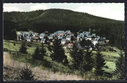 AK Silberstein /Frankenwald, Blick auf den Ort