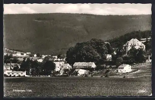 AK Friedenfels /Opf., Ortsansicht mit Waldlandschaft