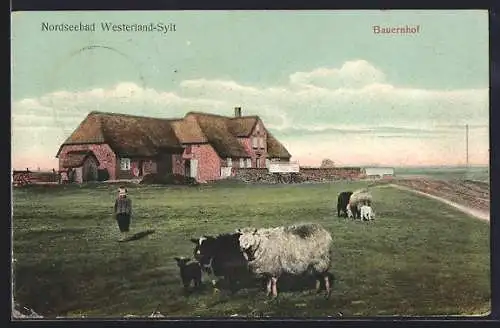 AK Westerland /Sylt, Bauernhof mit Schafen