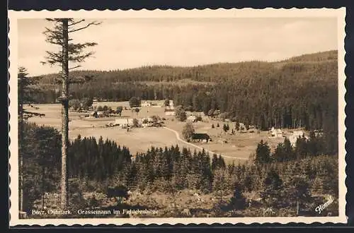 AK Grassemann i. Fichtelgebirge, Ortsansicht aus der Vogelschau