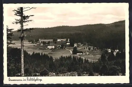 AK Grassemann / Fichtelgeb., Panoramablick auf den Ort