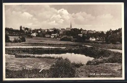 AK Mistelbach, Gesamtansicht