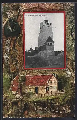 AK Moritzberg / Mfr., Aussichtsurm auf dem Moritzberg, Passepartout
