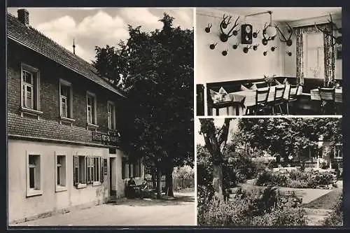 AK Seybothenreuth, Gasthof Georg Heinz, Innenansicht, Garten