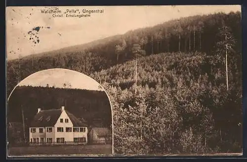 AK Ungenthal, Christliches Erholungsheim Waldheim Pella, Waldpartie